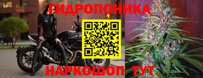 а пвп мука Будённовск
