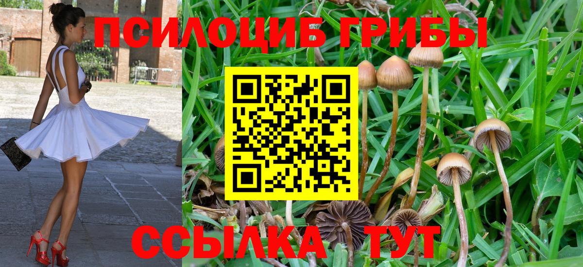 Псилоцибиновые грибы прущие грибы  Вход с VPN  Рыбинск 